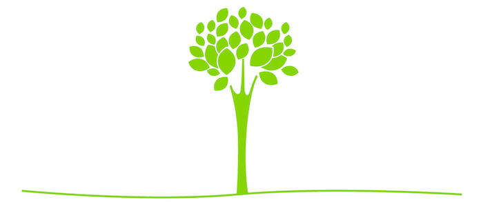 cleanly-tree-eatgreen-15.jpg